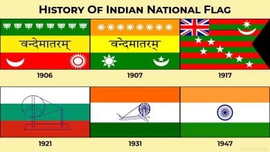 History of the Indian National Flag, Indian National Flag