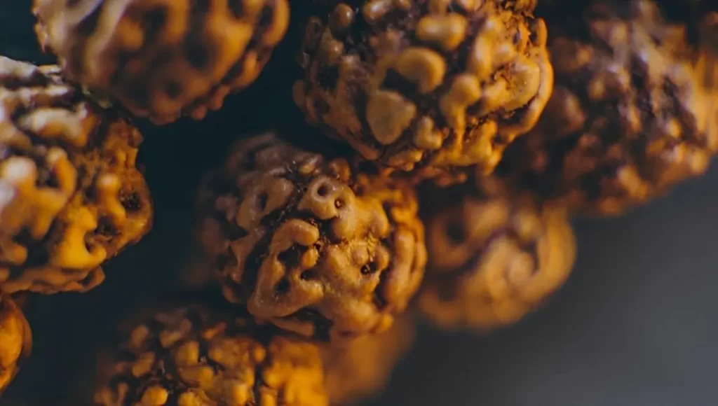 rudraksha beads, uses of rudraksha