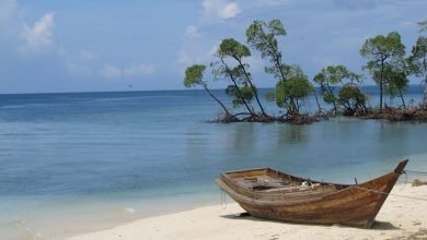 Andaman and Nicobar Islands: Nature's Paradise Unveiled