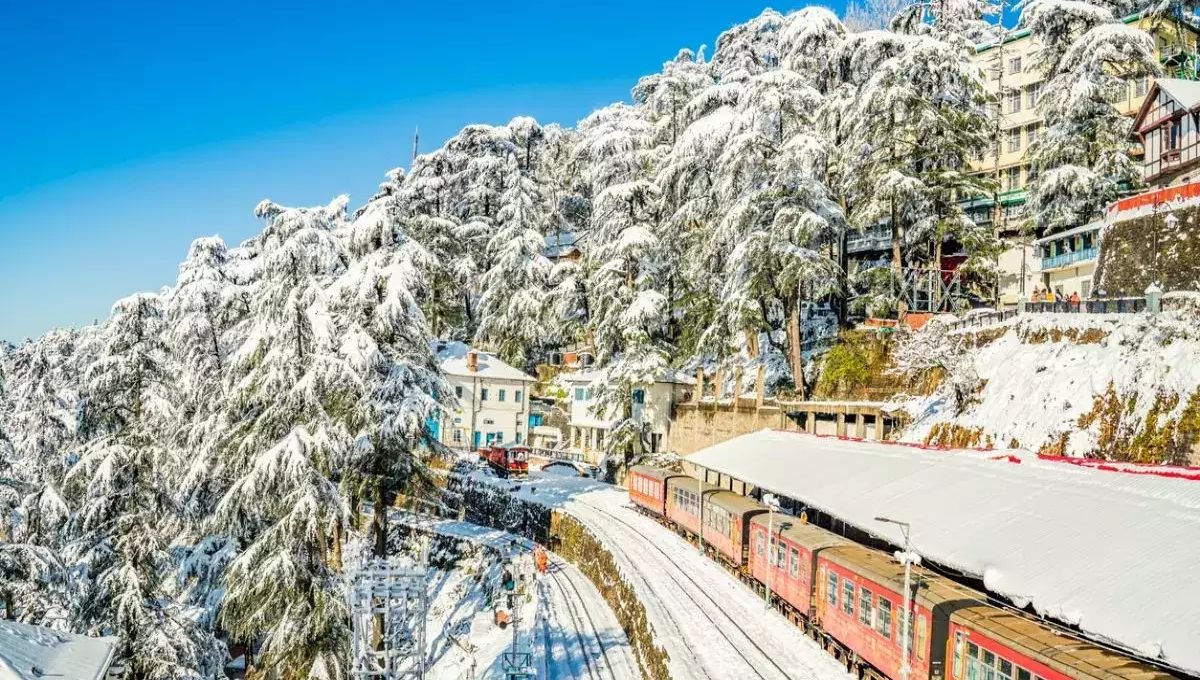 Shimla